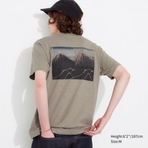Beige Uniqlo Hokusai UT Short Sleeve Women T Shirts | 4464343