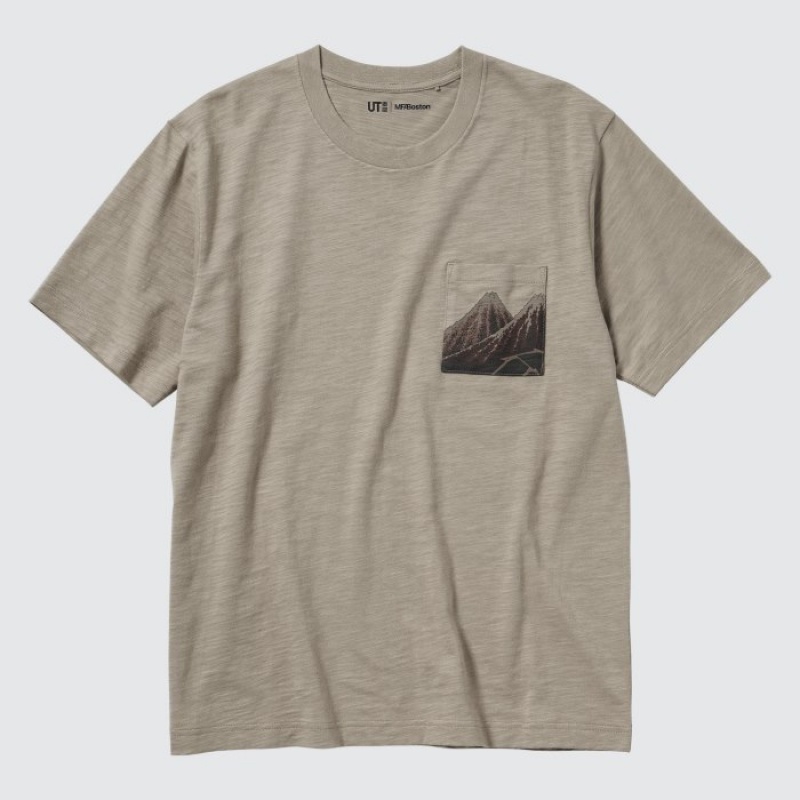 Beige Uniqlo Hokusai UT Short Sleeve Women T Shirts | 4464343