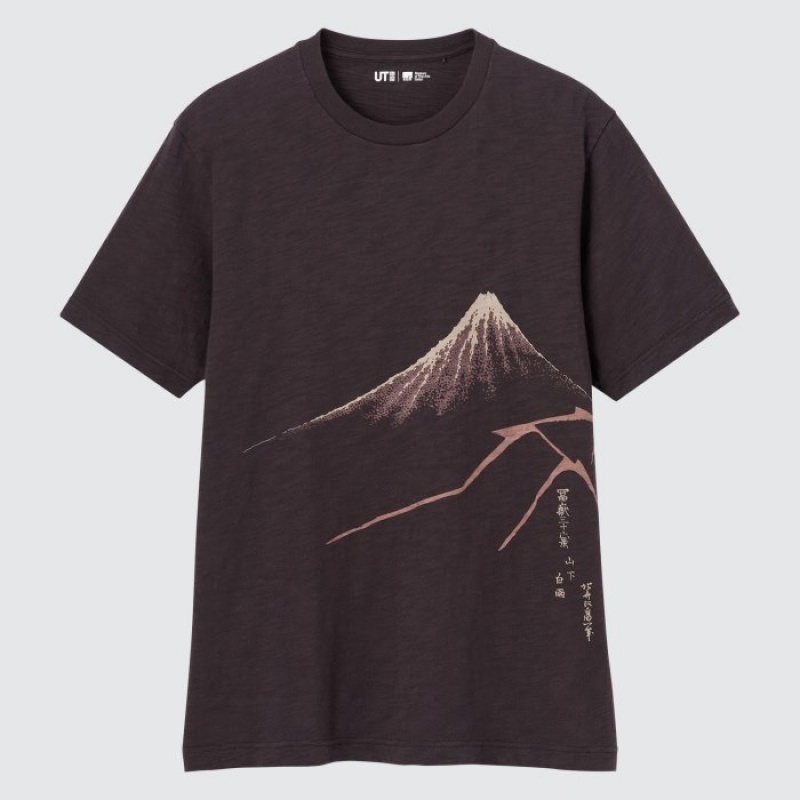 Brown Uniqlo Ukiyo-e UT Short-Sleeve Women T Shirts | 3551427