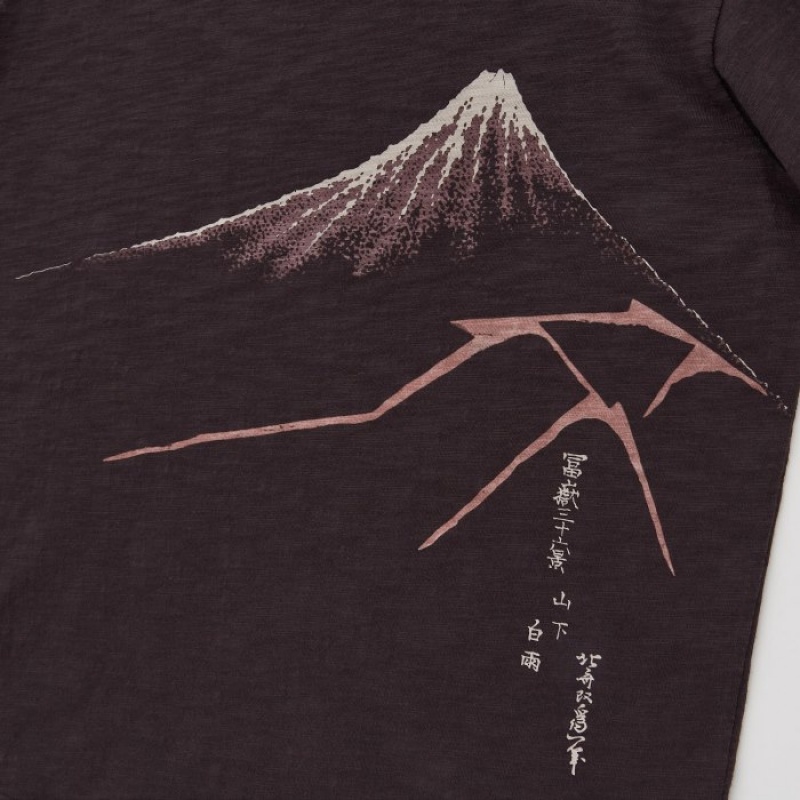 Brown Uniqlo Ukiyo-e UT Short-Sleeve Women T Shirts | 3551427