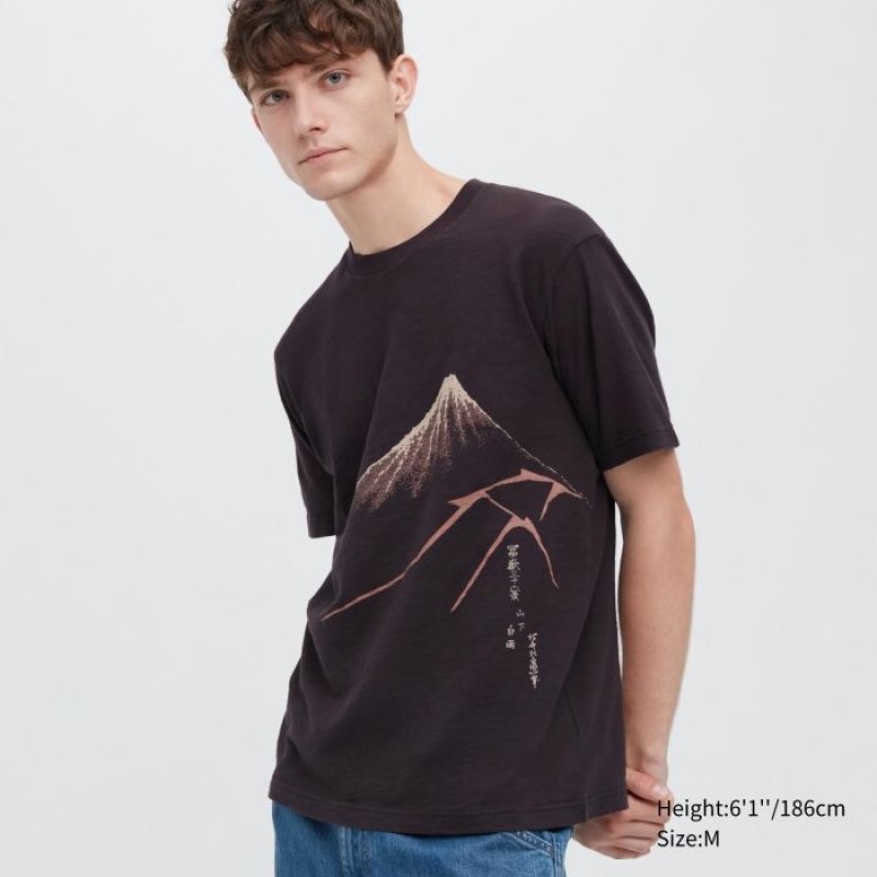 Brown Uniqlo Ukiyo-e UT Short-Sleeve Women T Shirts | 3551427